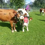 Hof Obertann *