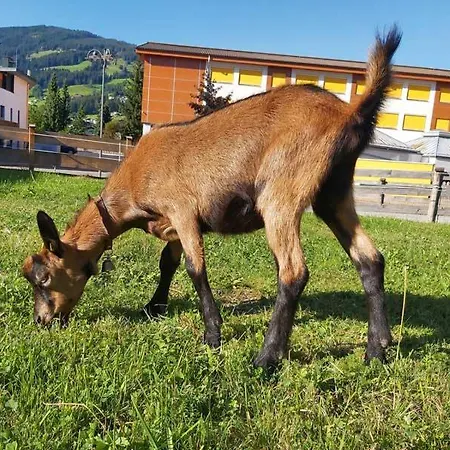 Hof Obertann كيرشبرغ ان تيرول