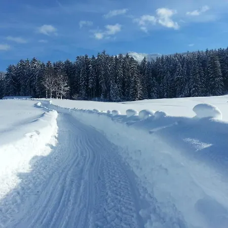 Apartment Hof Obertann