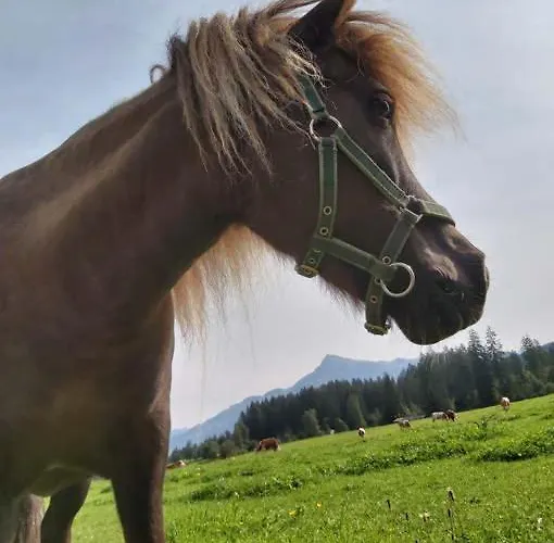 アパート Hof Obertann