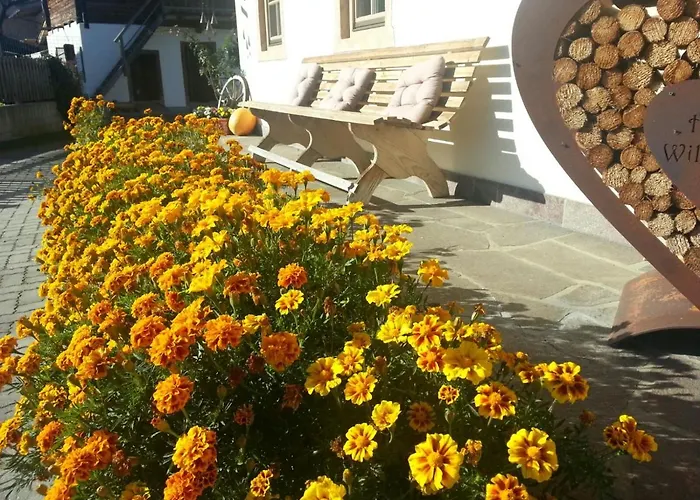 Hof Obertann キルヒベルク・イン・チロル